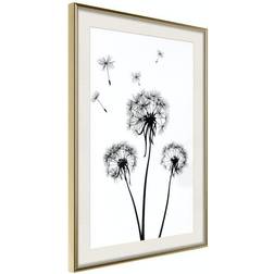 Arkiio Affisch Flying Dandelions [Poster] 20x30 Poster